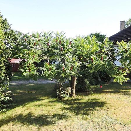 Bungalow In Lubin At 300 M From The Lake Exteriör bild