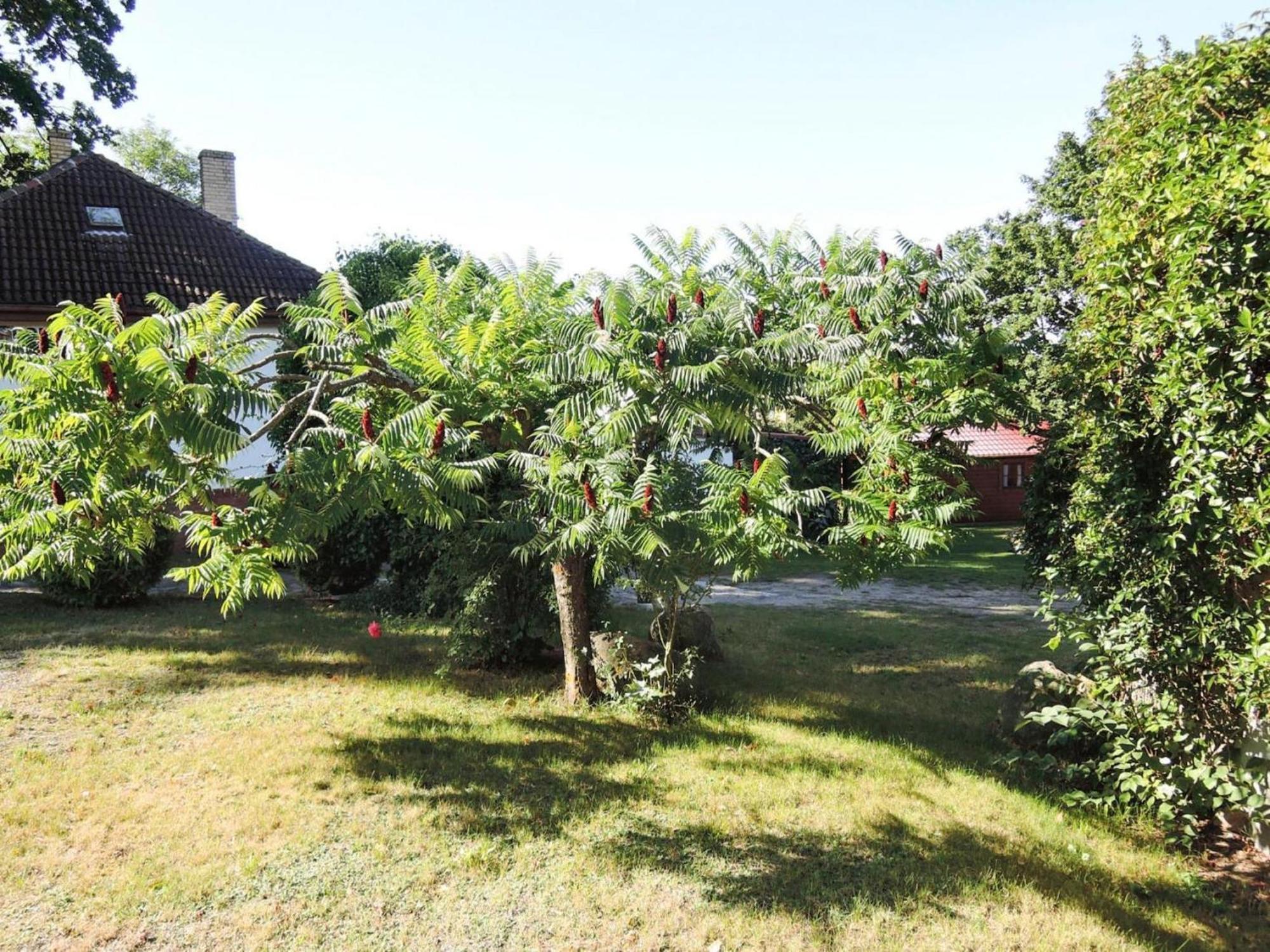 Bungalow In Lubin At 300 M From The Lake Exteriör bild